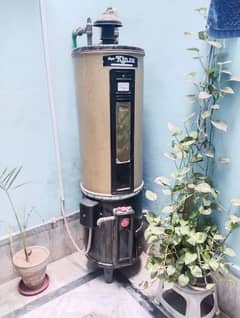 Geyser 35 Gallon Gas and Electric