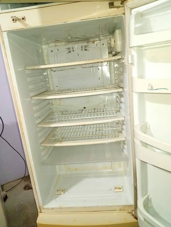 Pel refrigerator 6