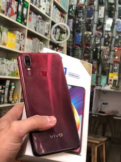 vivo