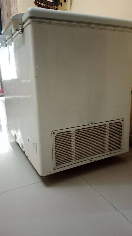 Haier Double Door Deep Freezer 2