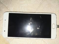 oppo Fls 4*64