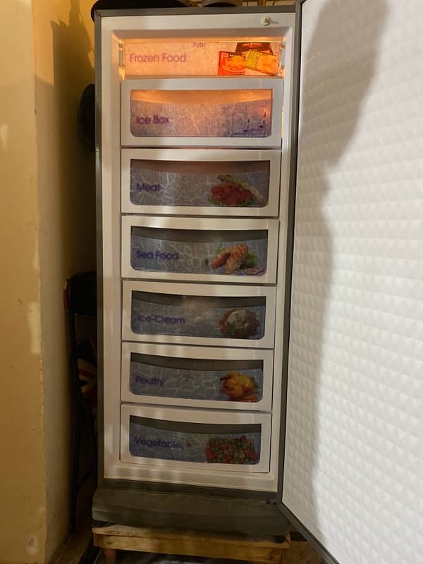 Dawlance Vertical Freezer 1