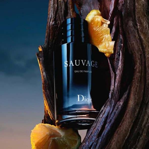 SAUVAGE perfume (free home delivery) 1