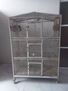 parrot cage