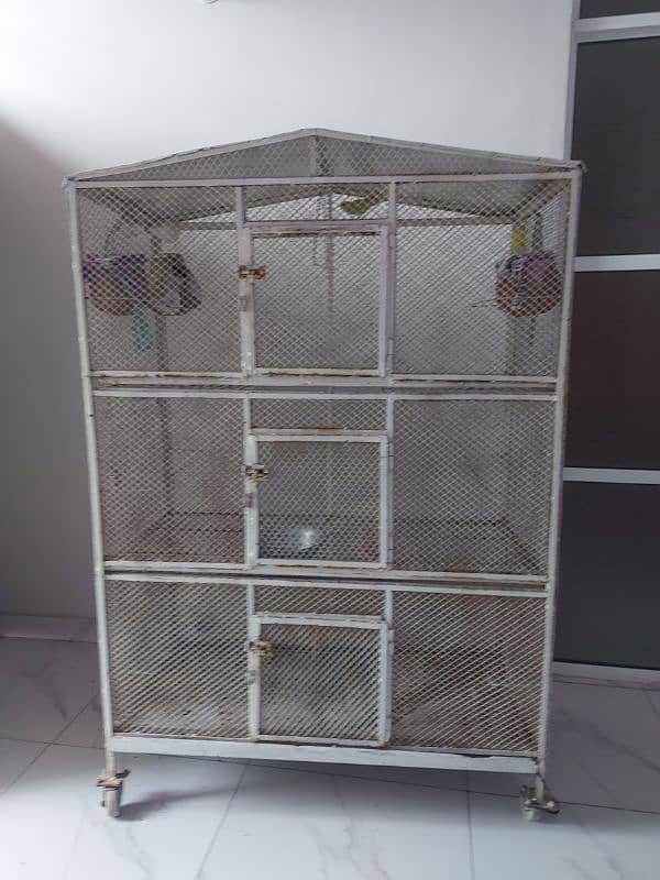 parrot cage 1