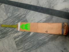 cricket bat