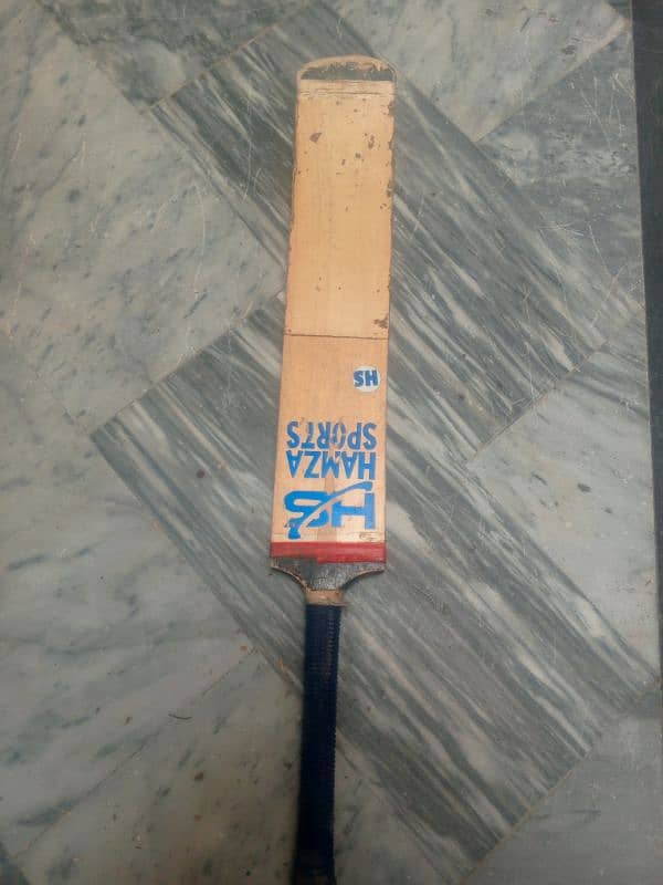 cricket bat 4