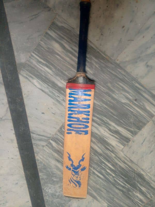 cricket bat 5