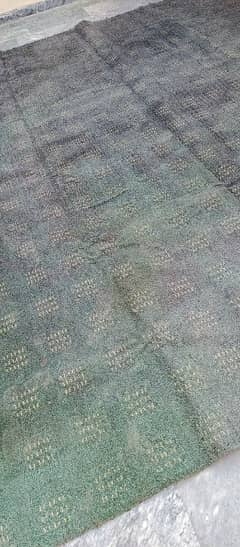 carpet