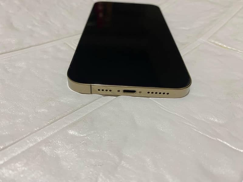 iPhone 12 Pro Max (Pta Approved) 03000429664 2