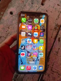 xs max non pta