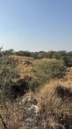 103 land for sale in Chakwal