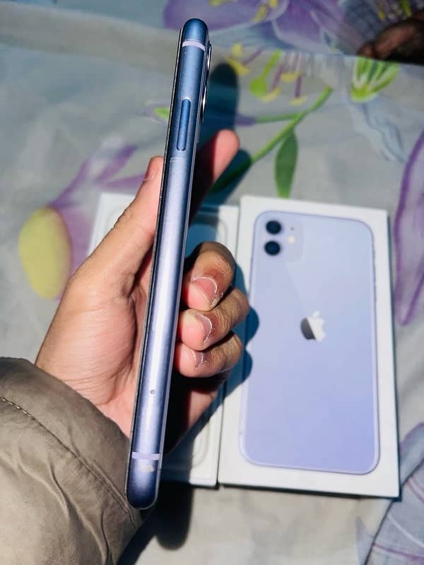 iPhone 11 pta approved 2