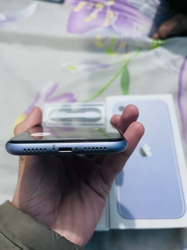 iPhone 11 pta approved 5