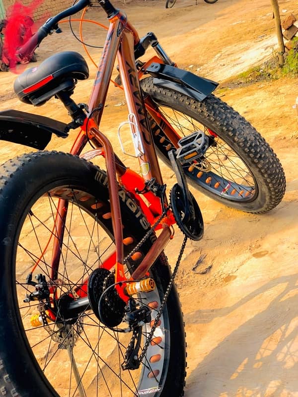 mountain bicycle 3