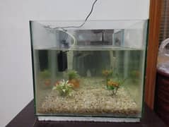 Fish Aquarium with 2 gold fish, stones & filter