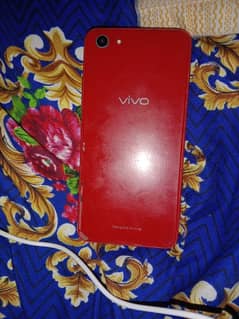 vivo