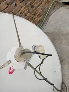 tv dish