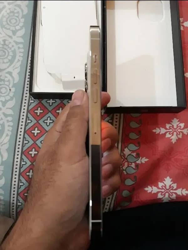 iPhone 13 ProMax 256GB Dual Physical PTA 5