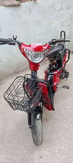 electrical bike