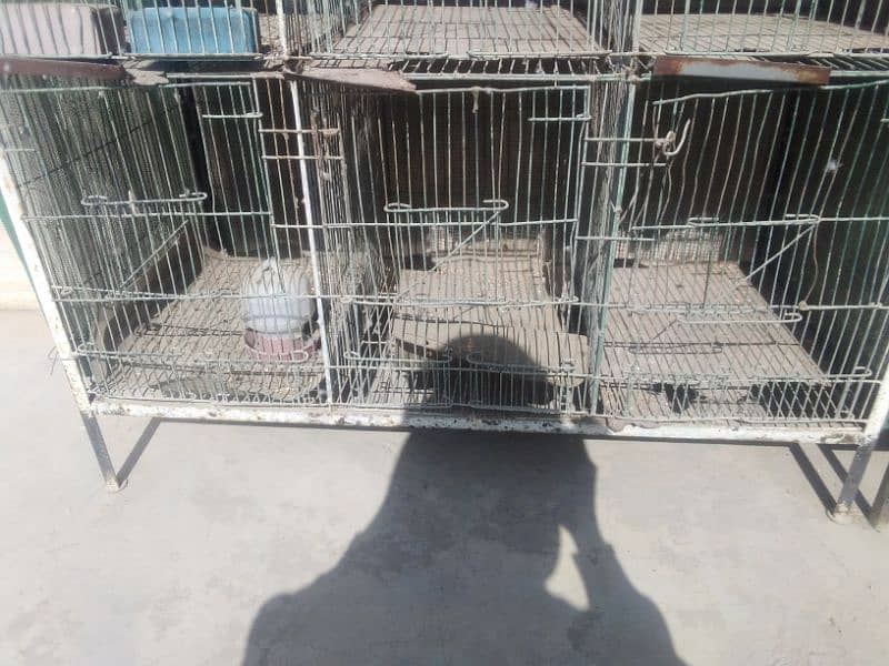 Bird cage Angal made 0