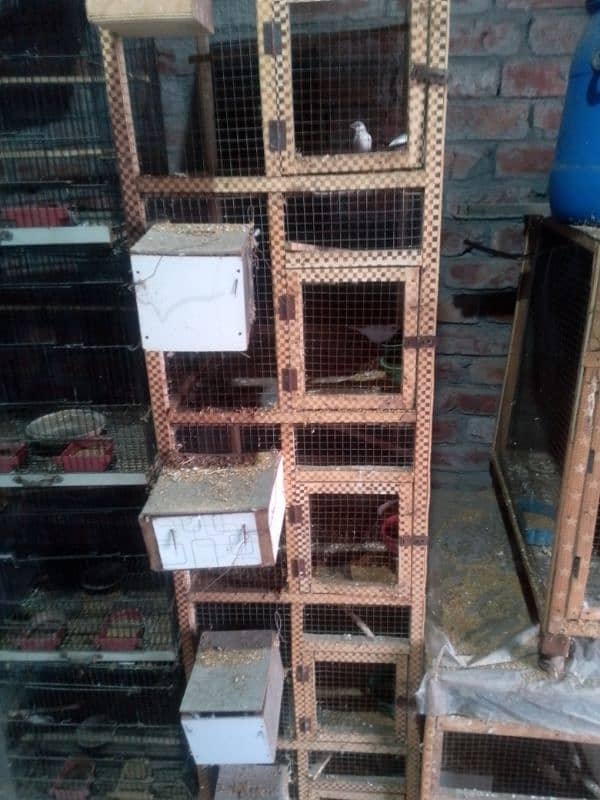 Birds Cage for Sale 1