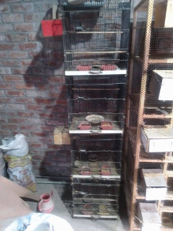 Birds Cage for Sale 2