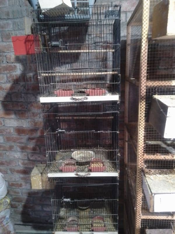 Birds Cage for Sale 3