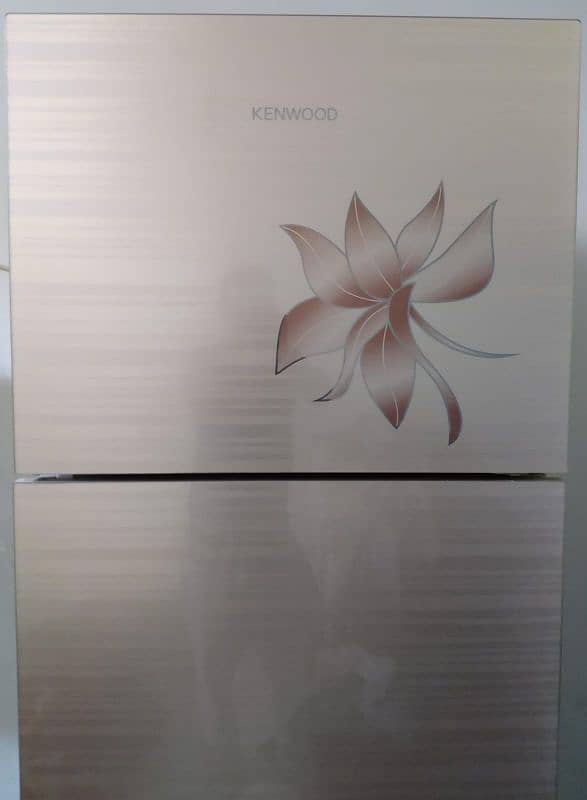 Kenwood persona series Glass door 7