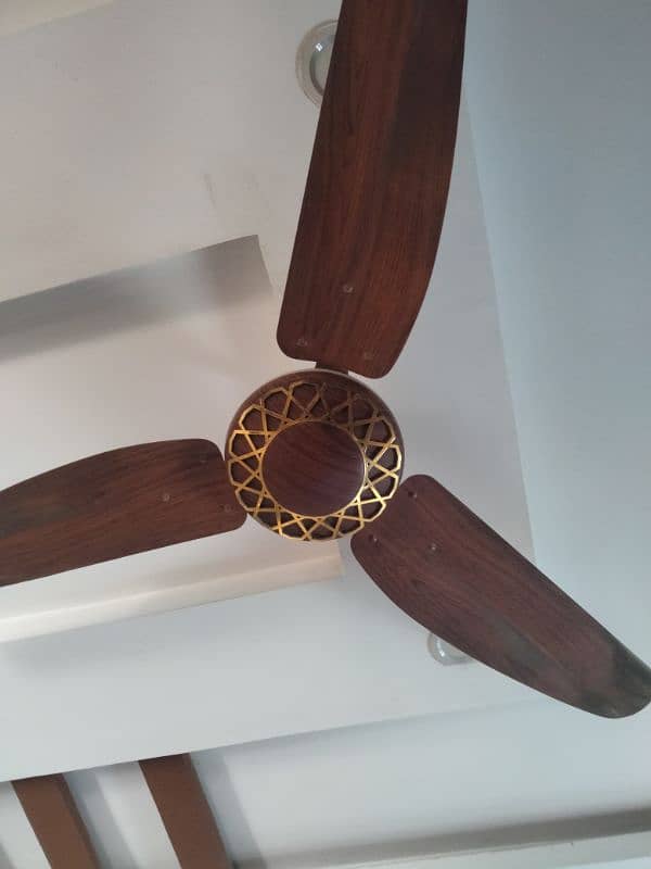 GFC ceiling fans slightly used 0