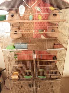 Cage & Birds for sale