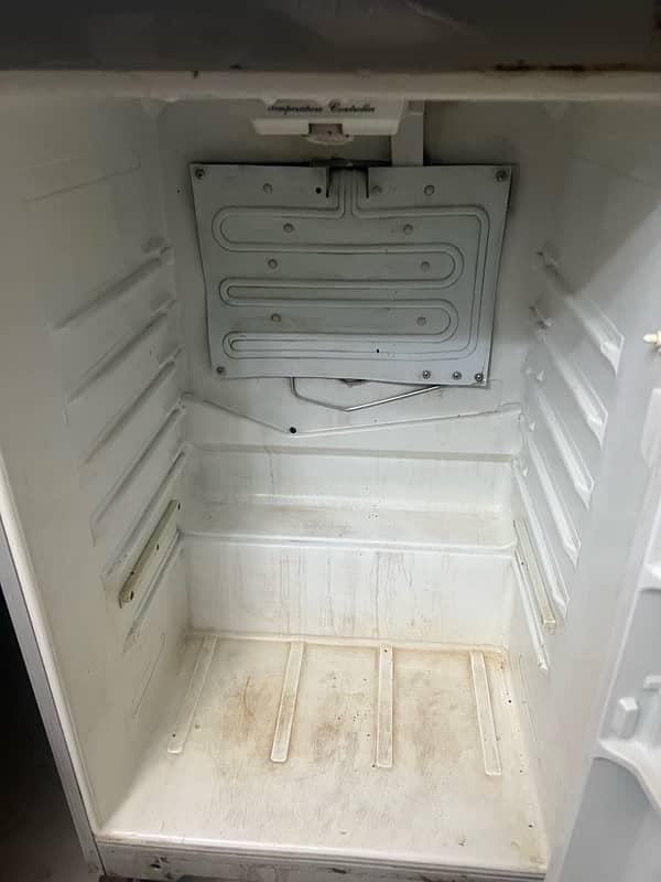 fridge for cheap price with stand 1