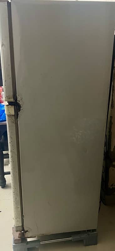 fridge for cheap price with stand 3