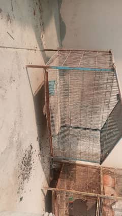 cage for sale