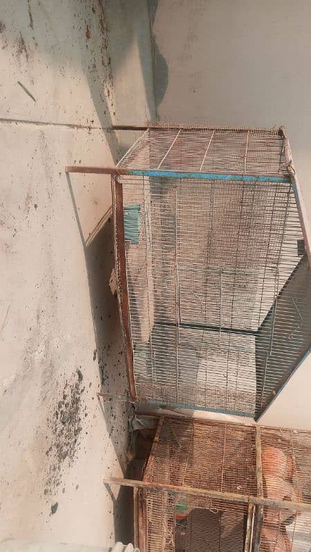 cage for sale 0