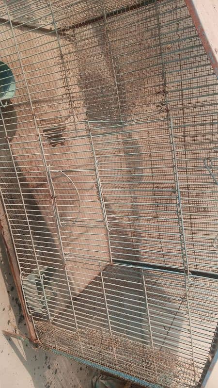 cage for sale 2