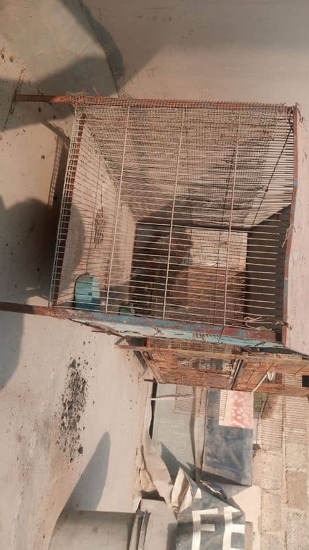 cage for sale 4