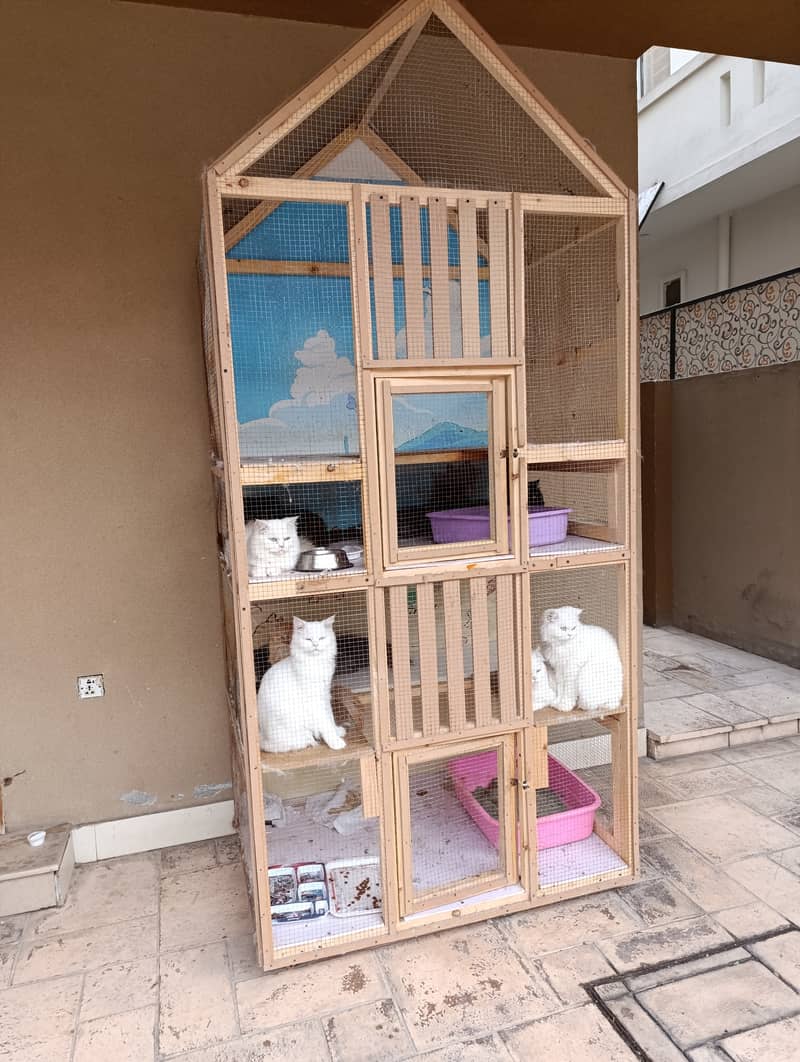 cats/pigen/hens cage for sale 0