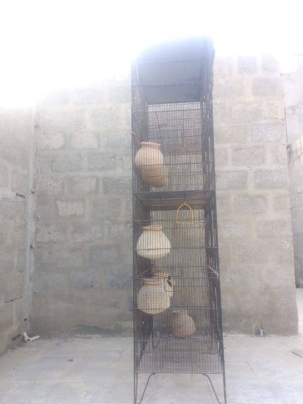 Birds cage 1