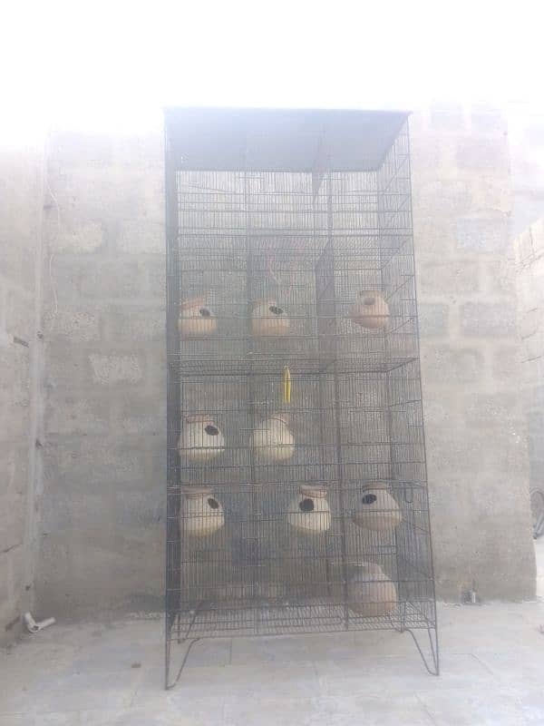 Birds cage 3