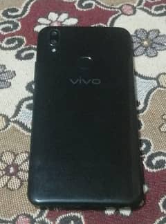 Vivo