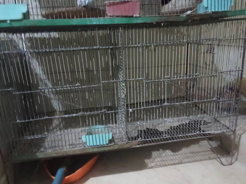 Iron Cage for sale 1