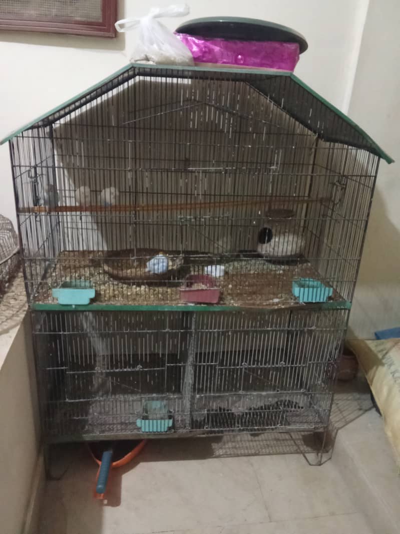 Iron Cage for sale 3