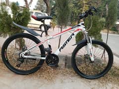 Aster mountain bicycle for sale