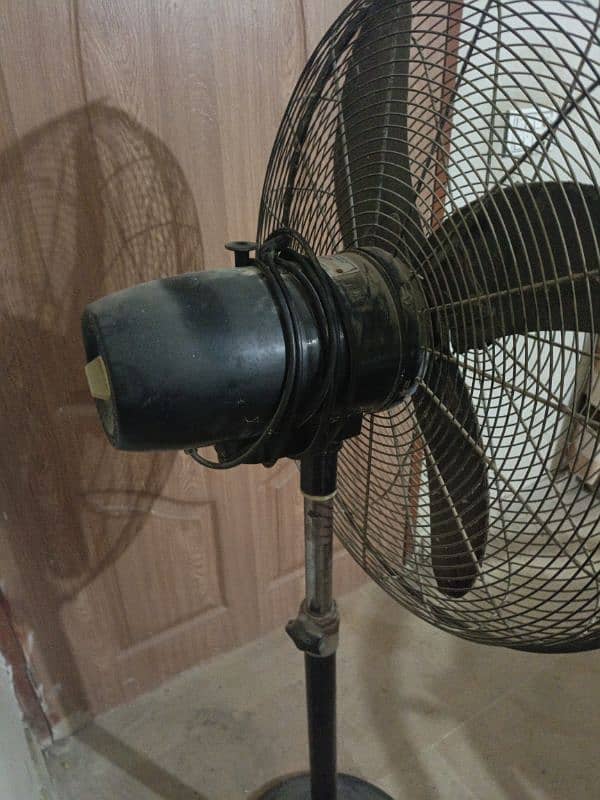 ORNATE USED CLEAN PADESTLE FANS AVAILABLE FOR SALE AT RS 25000 3