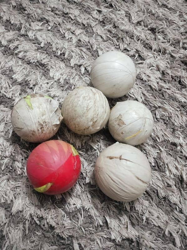 Cricket tennis balls six in good condition 03333358008 2