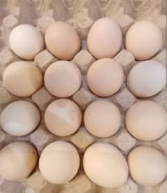 desi egg available for sale I need regular customer