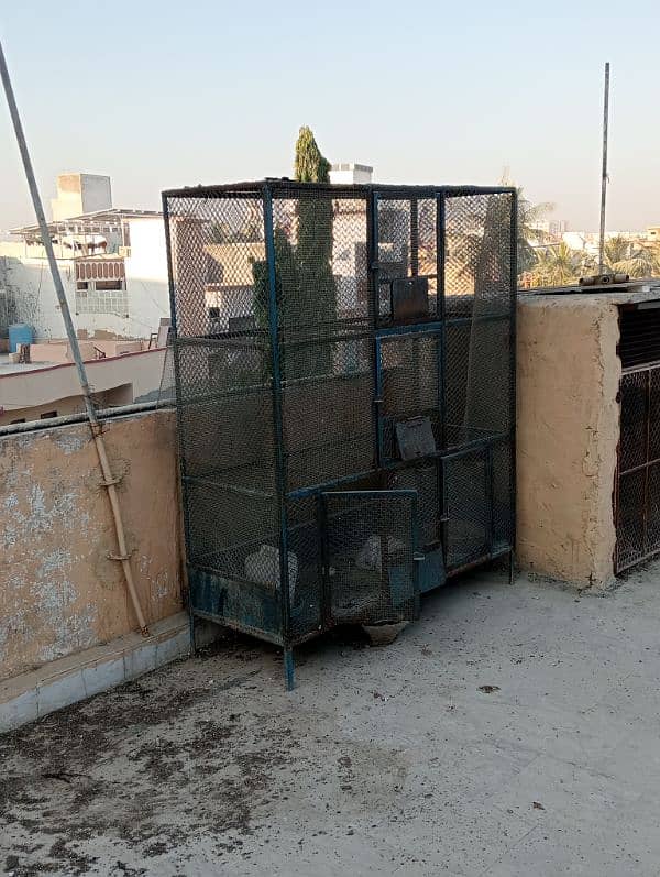 cage for sale pigeon parrot finch budgies Australian 0