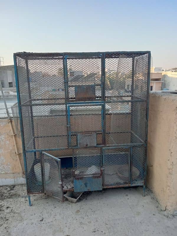 cage for sale pigeon parrot finch budgies Australian 1