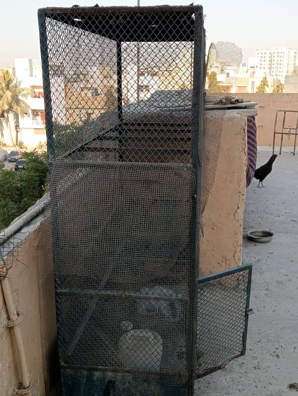 cage for sale pigeon parrot finch budgies Australian 3